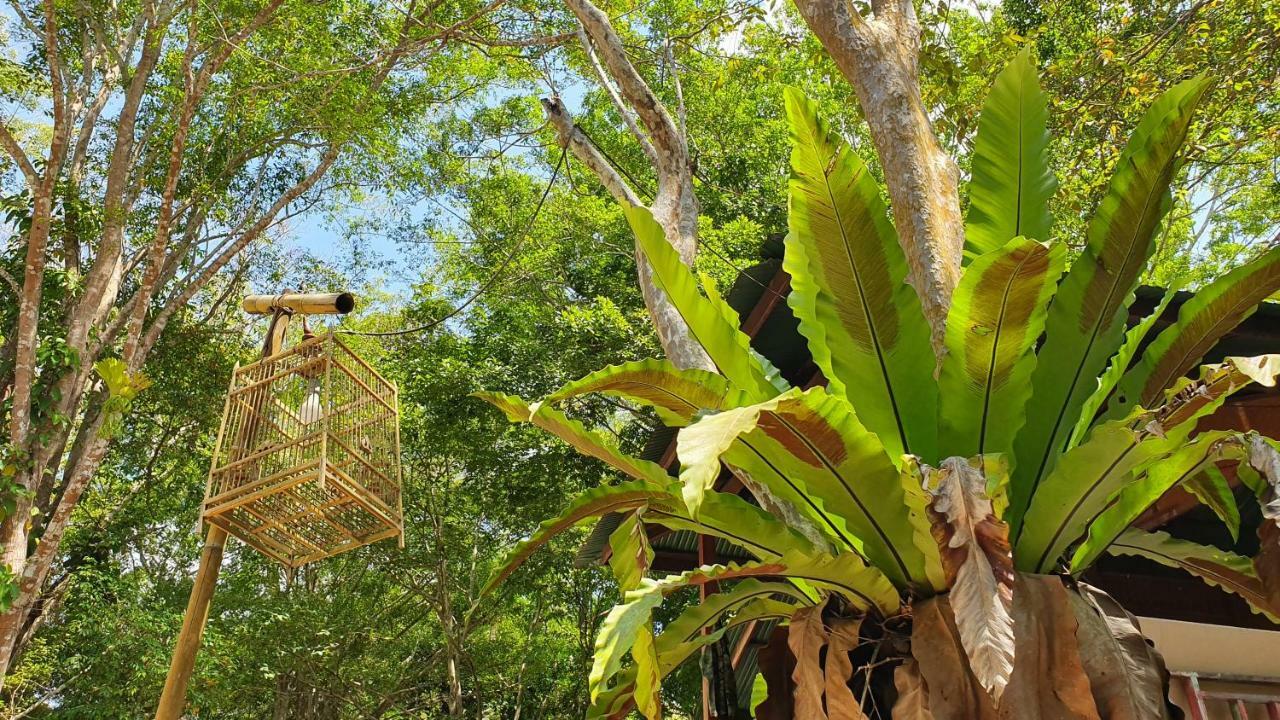 Отель Hug Rimtharn Ban Khao Klom Экстерьер фото